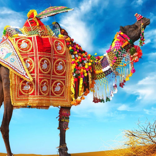 Cultural Rajasthan Tour